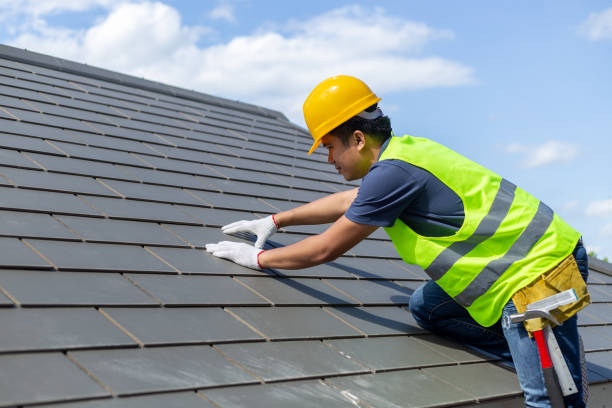 Quick and Trustworthy Emergency Roof Repair Services in Lutz, FL