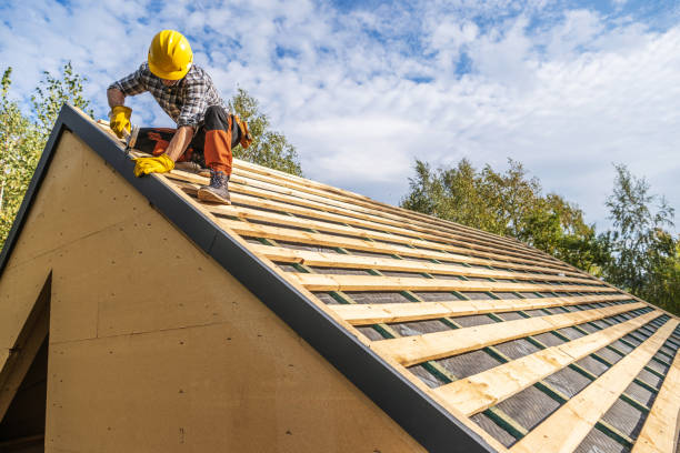 Best Roof Gutter Cleaning  in Lutz, FL