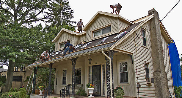 Tile Roofing Contractor in Lutz, FL