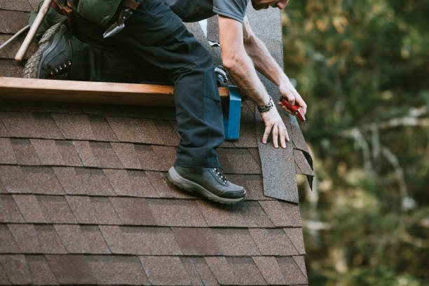 Gutter Installation and Roofing in Lutz, FL